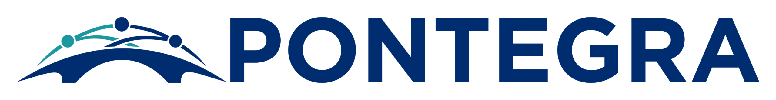Pontegra Software Technologies